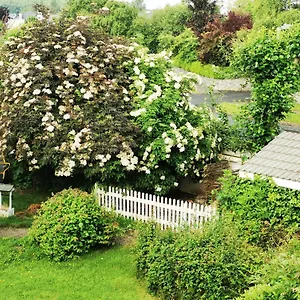 Bed & Breakfast Balally House, Shannon